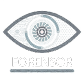 VisionWare_forensor